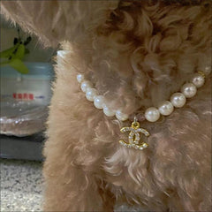 Pet necklace