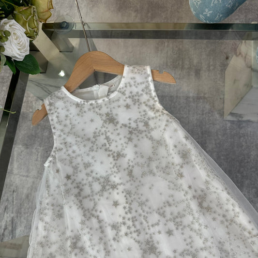 Sequined Tulle Skirt