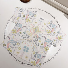 T-shirt + princess tutu skirt