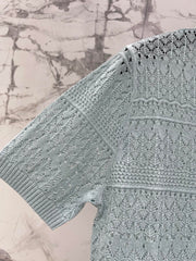 Openwork Knit Crew Neck Short-Sleeve Top
