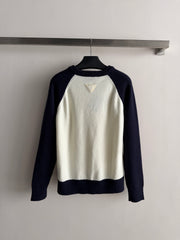 Color-blocked raglan-sleeve crew-neck knit top